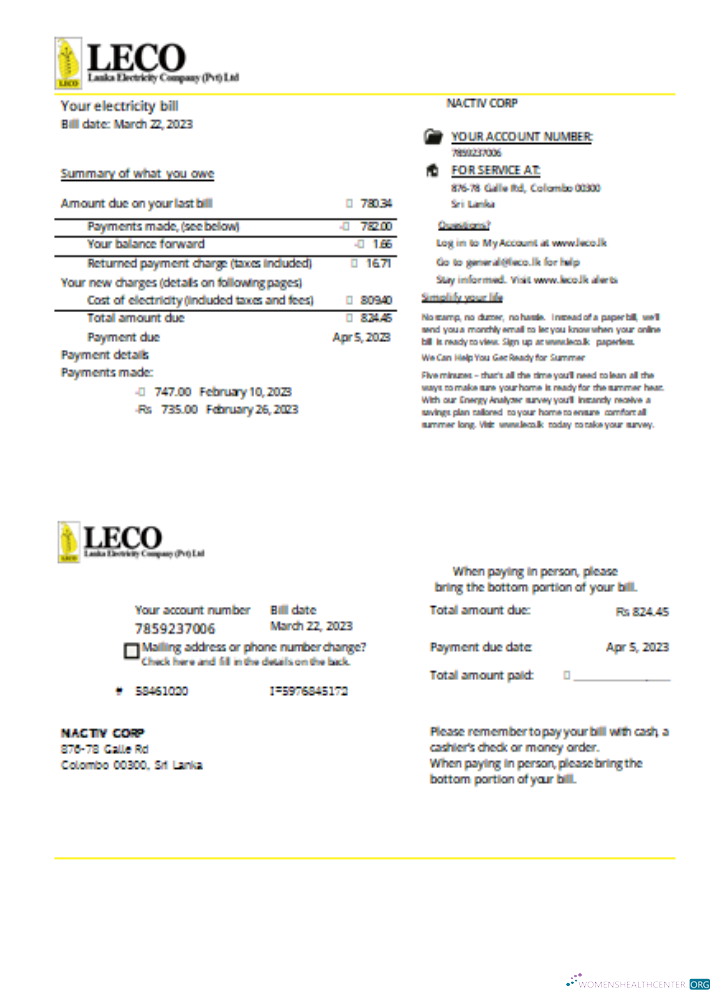 Download LECO Corporation electricity business bill, SCR Photoshop template